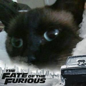 Meet your Posher, Monada